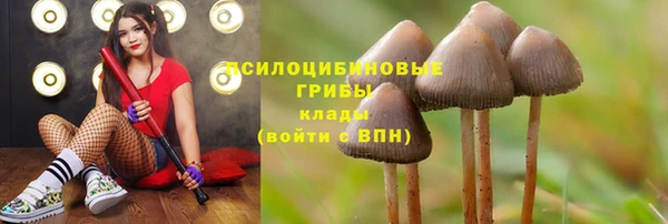 твердый Алексеевка