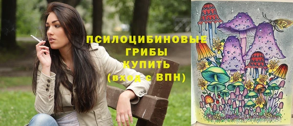 соль ск Алексин