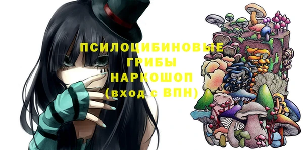 шишки Абдулино
